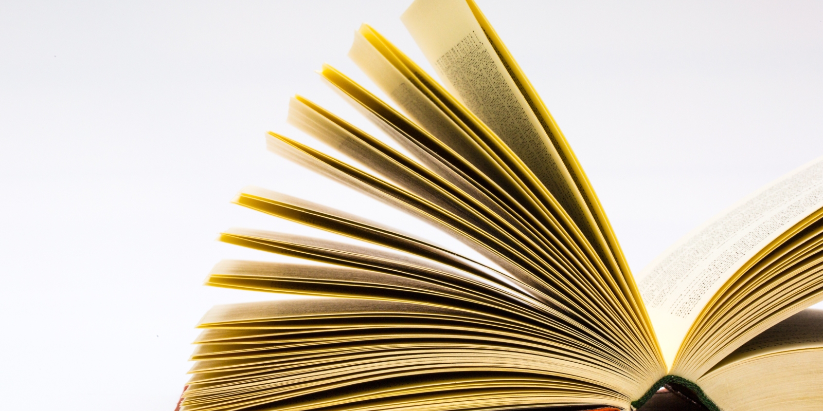 book-read-open-wing-leaf-reading-895600-pxhere.com book-read-open-wing-leaf-reading-895600-pxhere.com